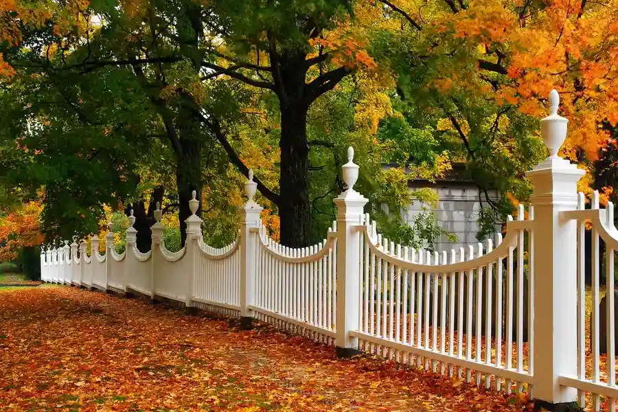 The Role Of Wood Fencing In Enhancing Curb Appeal Cleveland, TX